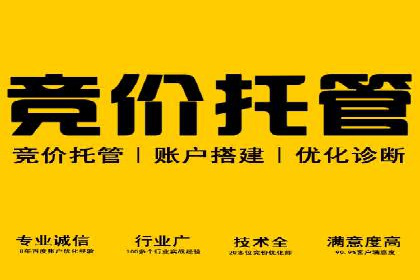 深度解析托管竞价sem：一则行业领先企业的成功故事